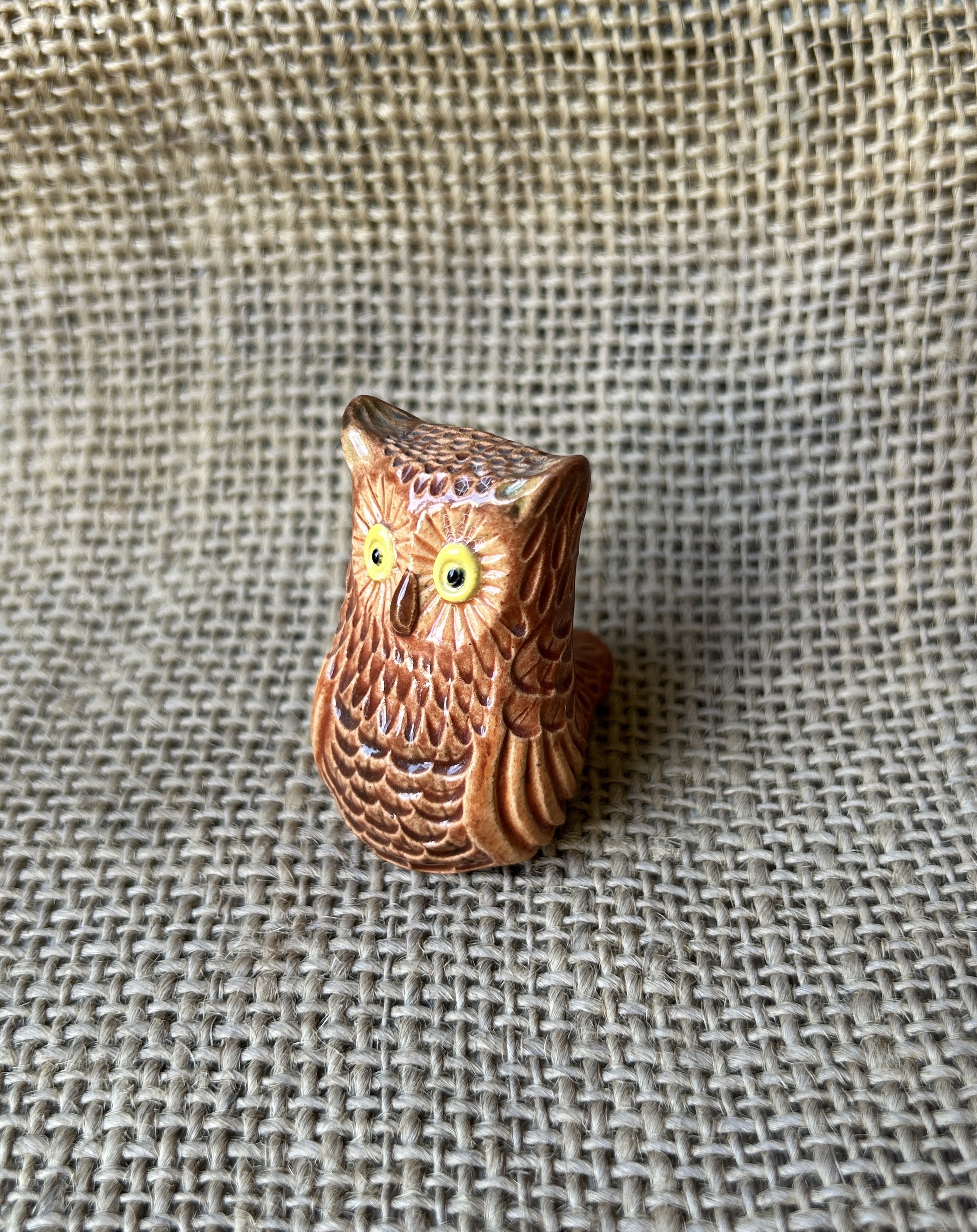 Очки совы (Owl's Eye)